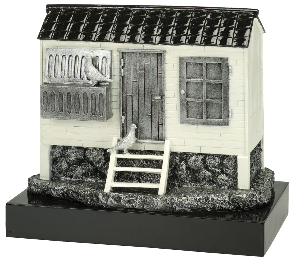 Trofee Duif met Huis