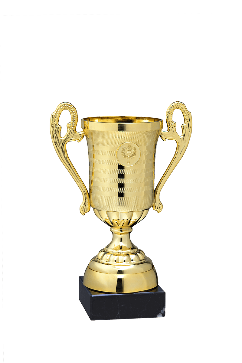 Sportprijs d60 h145 i25-goud