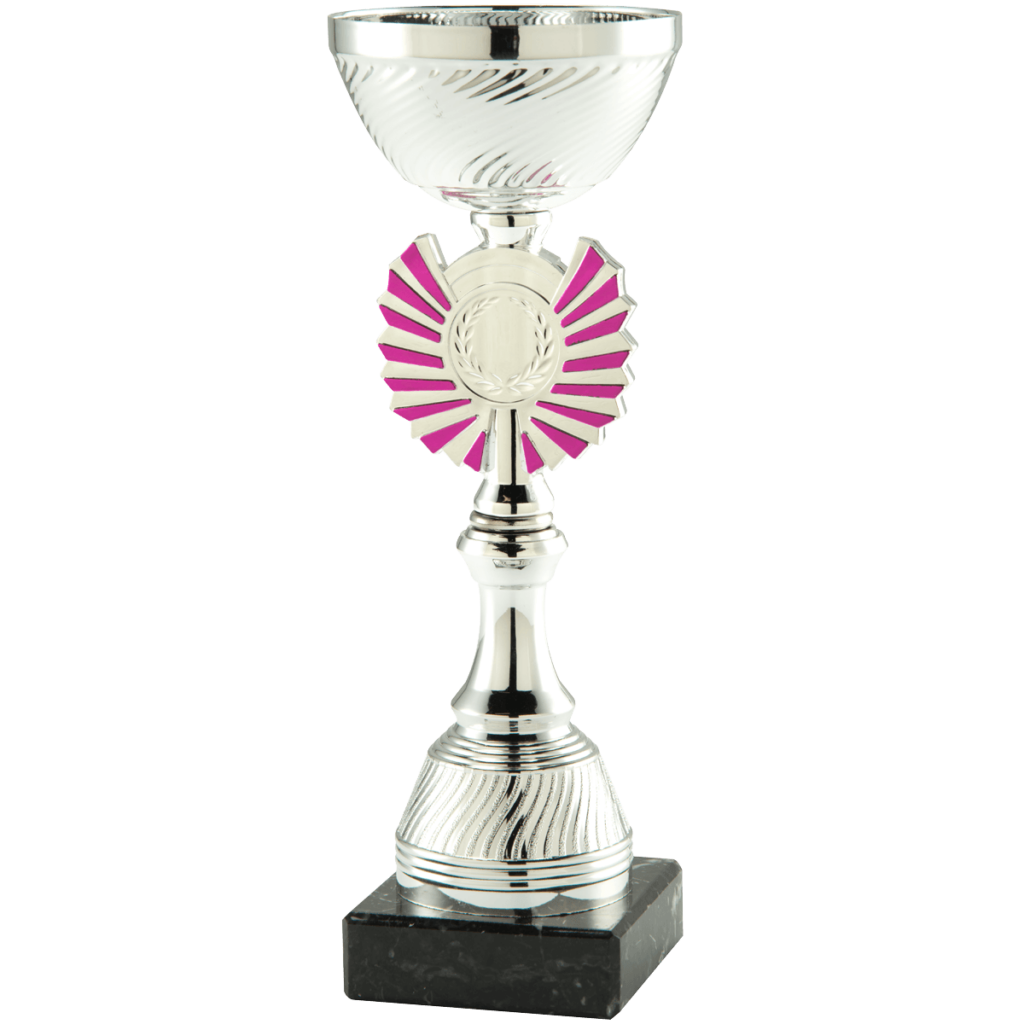 Sportprijs d70 h200-1