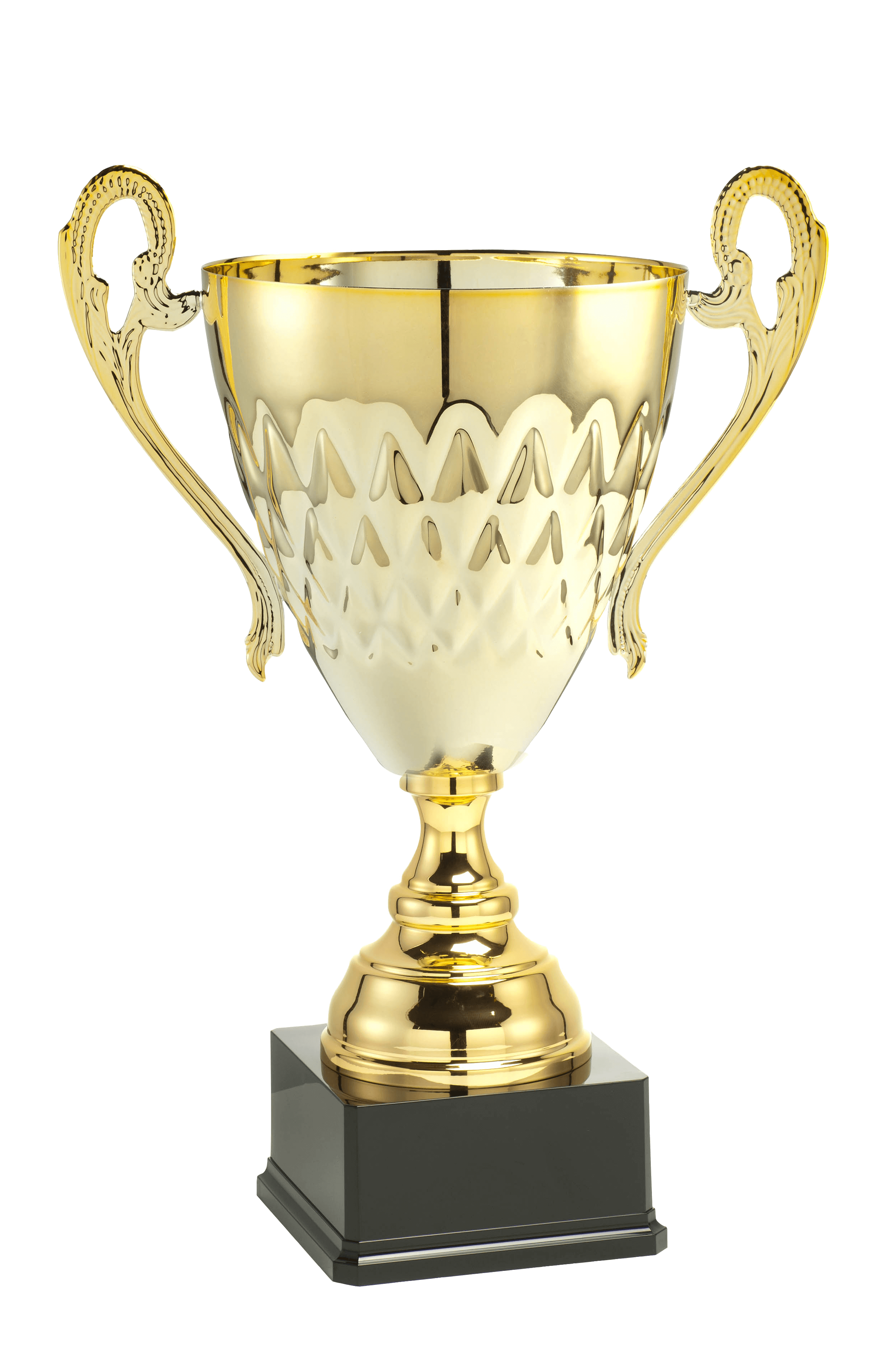 Sportprijs LT.039B.01