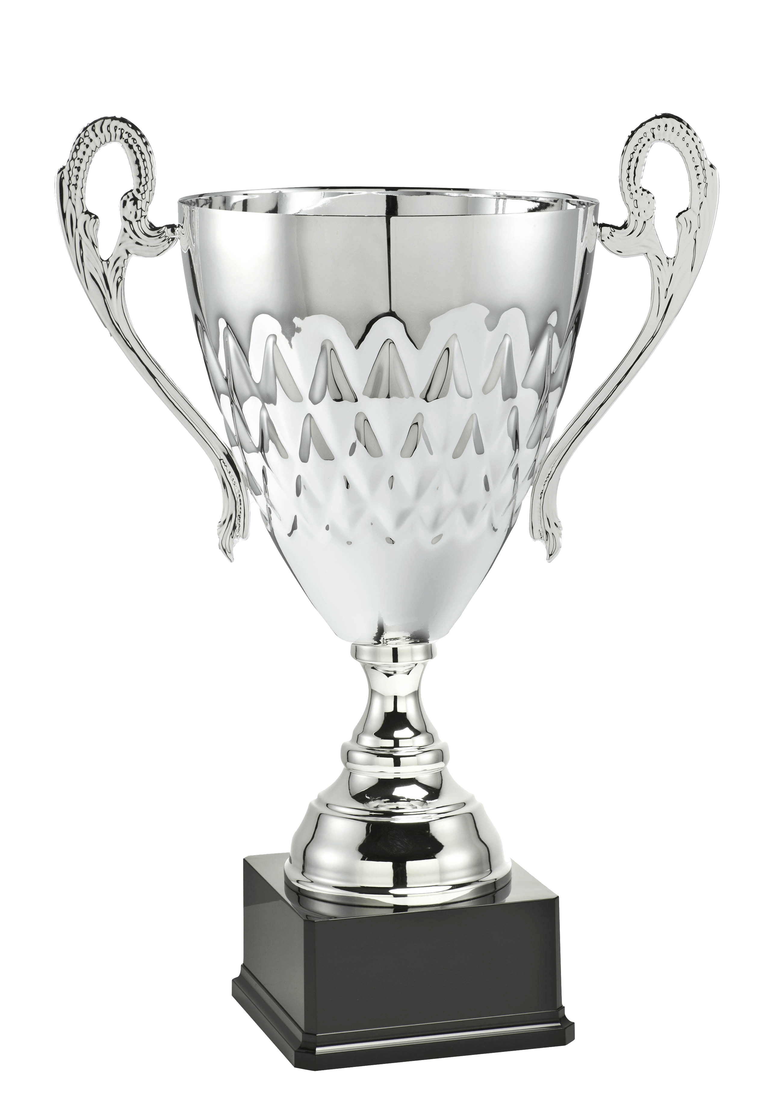 Sportprijs LT.040B.02