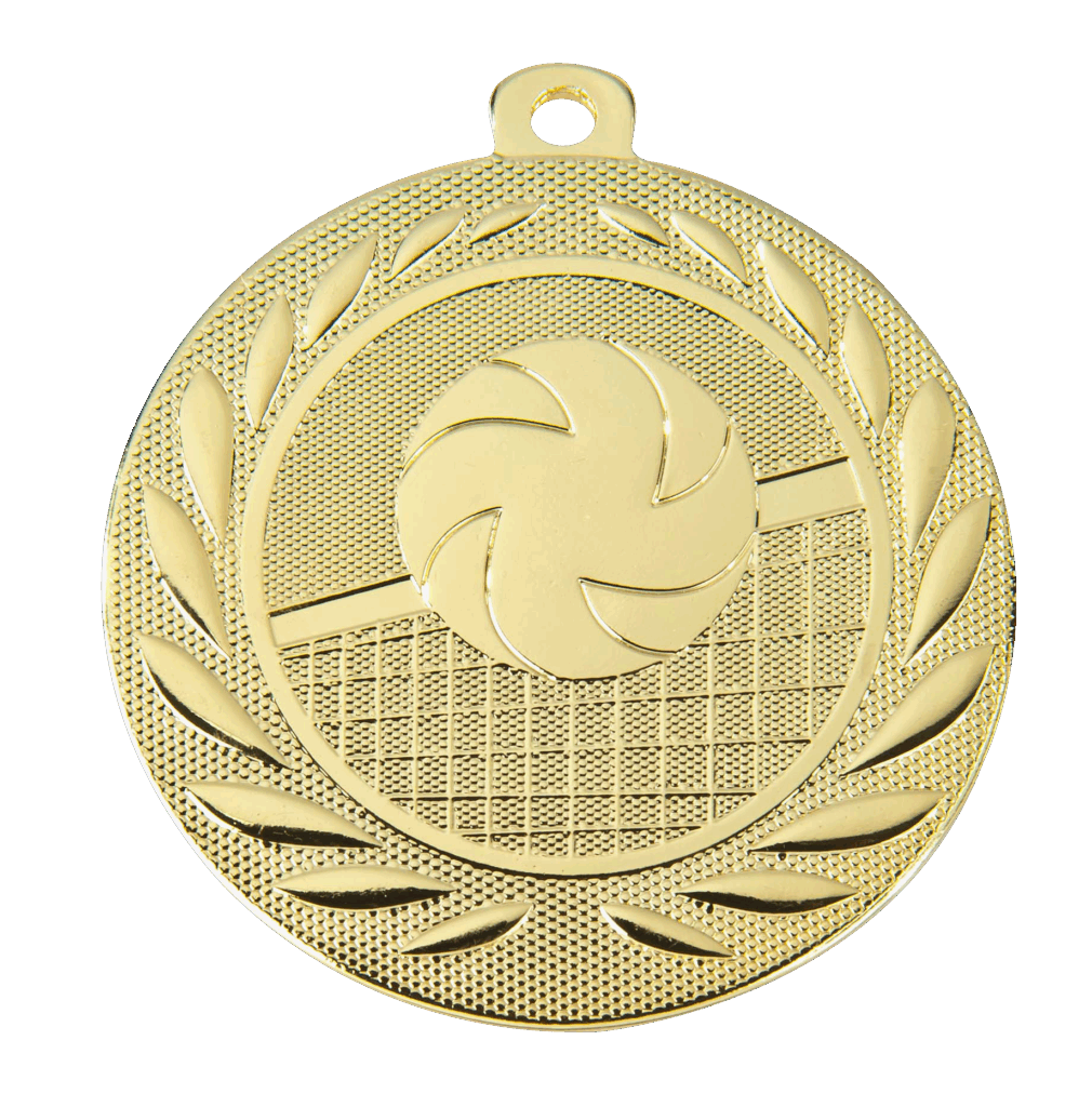 Mooie volleybal eerbetoon medaille