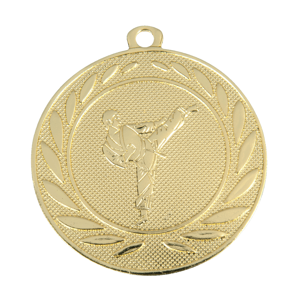 Mooie karate overwinning medaille