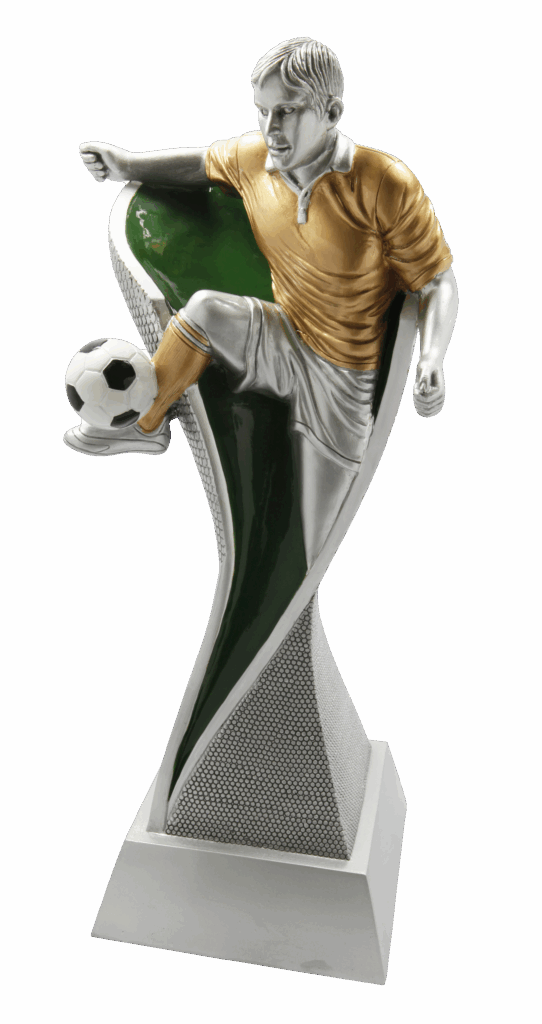 Voetbalheld in actie beeld