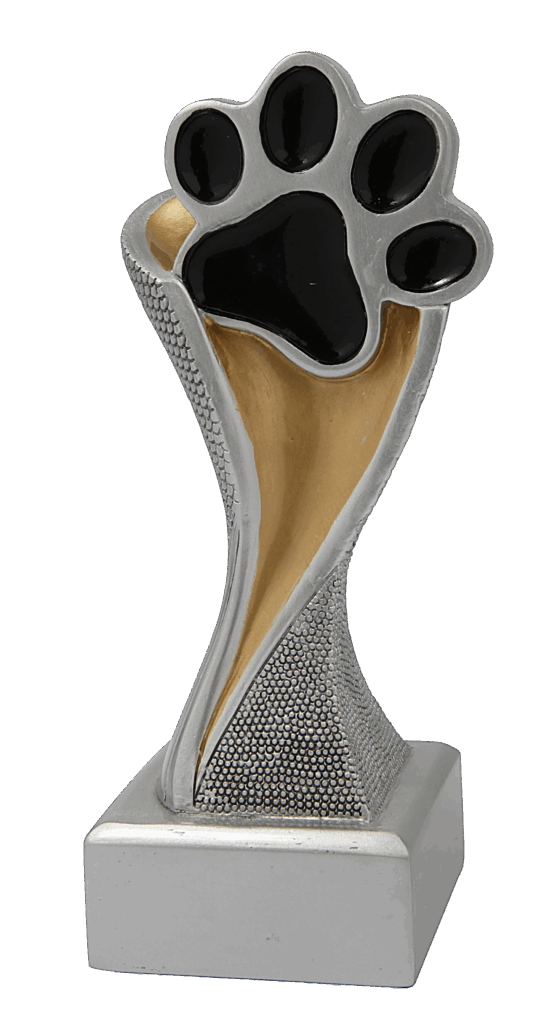 Pootafdruk kampioen beeld