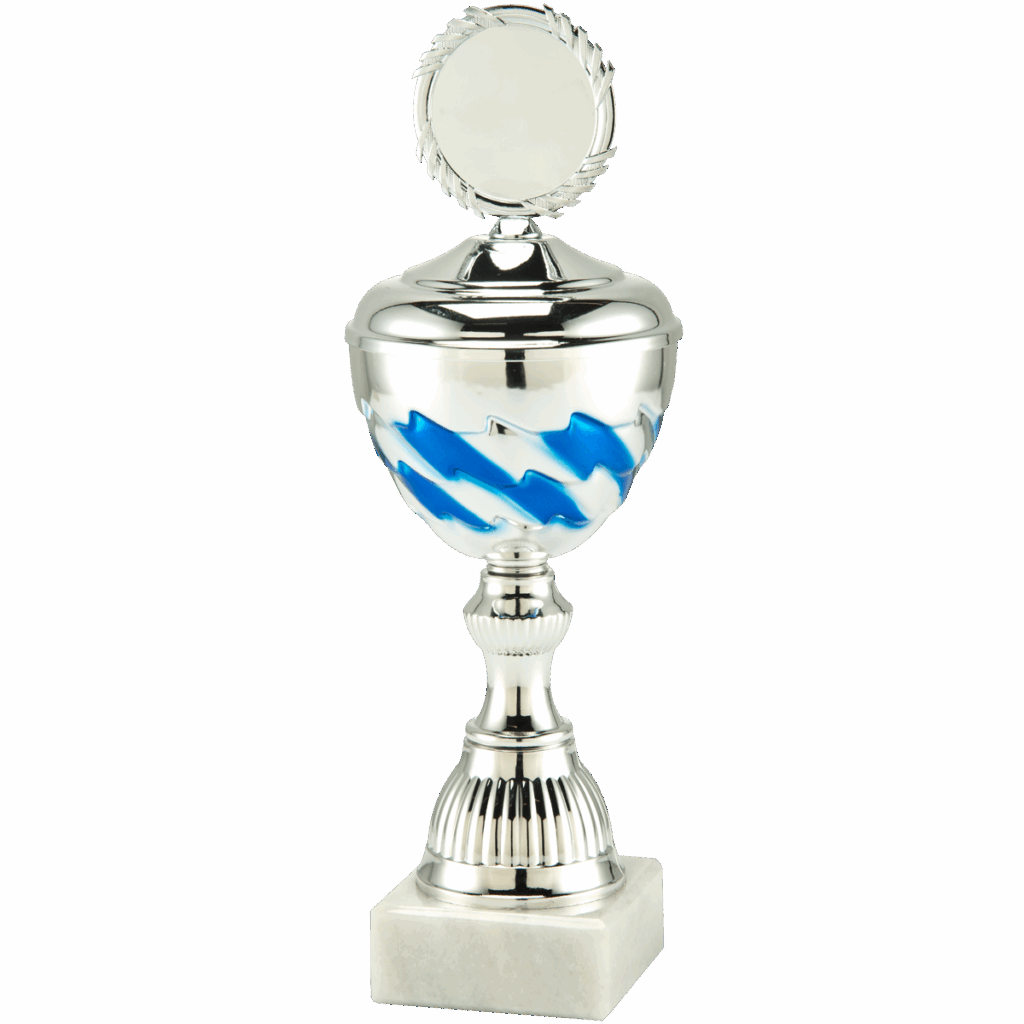 Voetbal kampioen beker glans