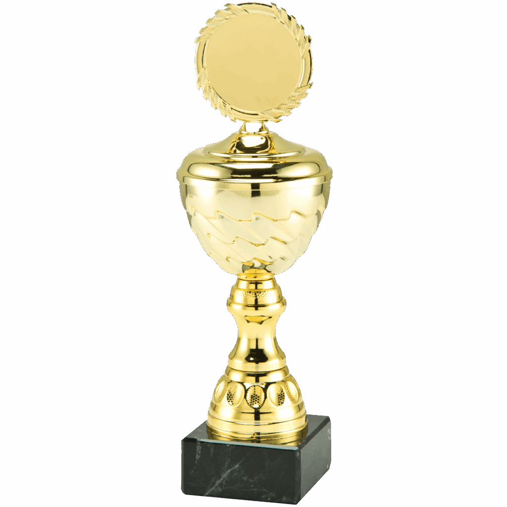 Gouden voetbal overwinning beeld