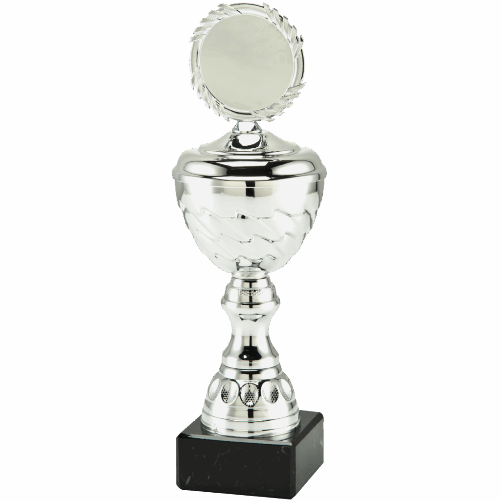 Kampioen voetbalbeker zilver glans
