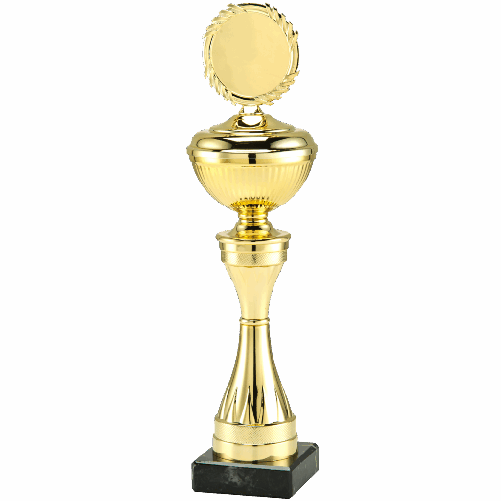 Gouden voetbal glorie beeld