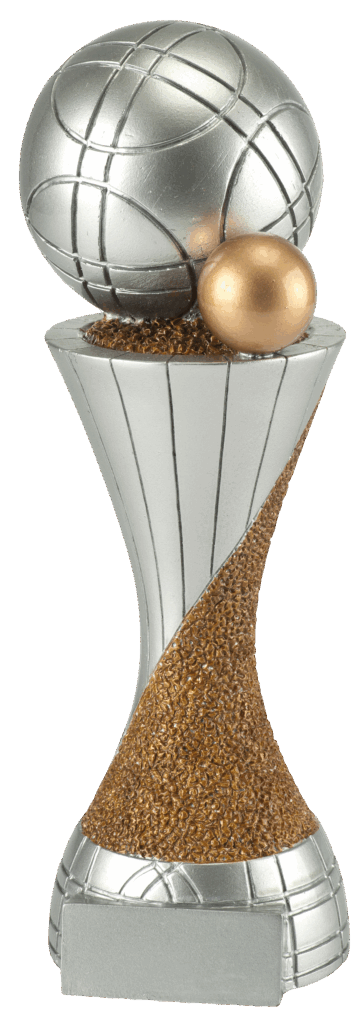 Basketbal kampioen beeld