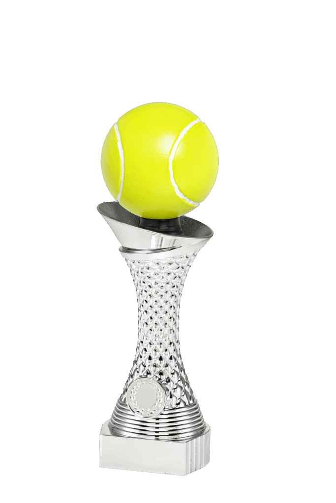 Tennis kampioen beeld