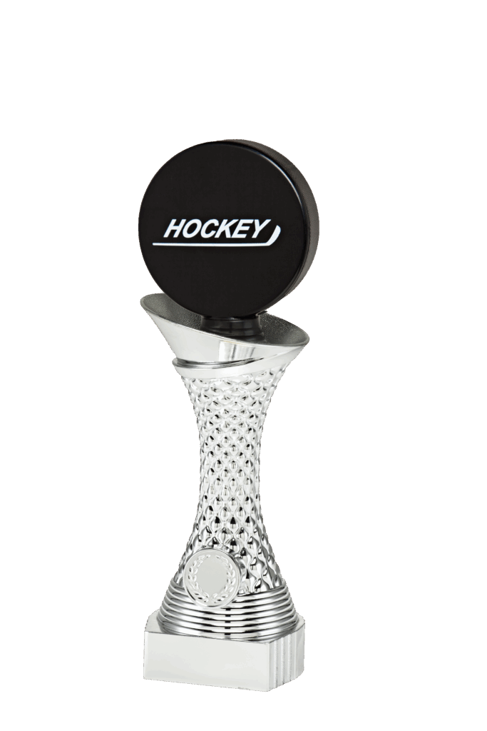 Hockey kampioen eerbetoon beeld