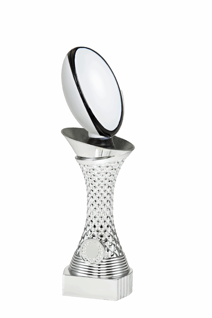Elegante rugby kampioen beeld