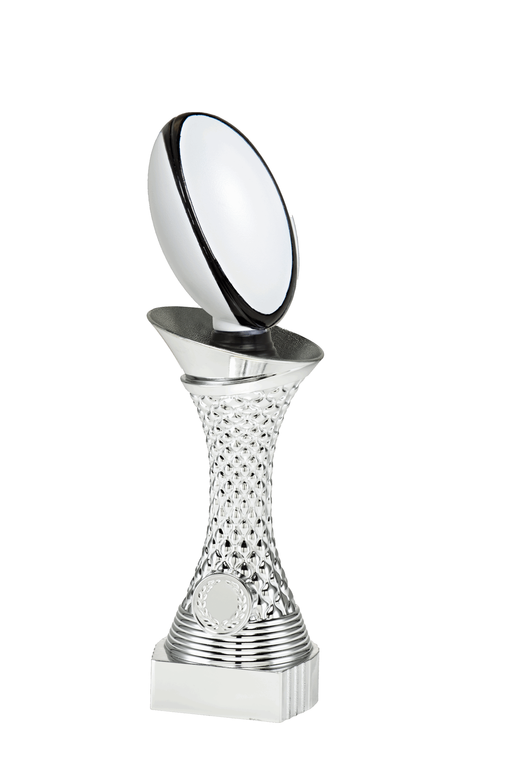 Elegante rugby kampioen beeld