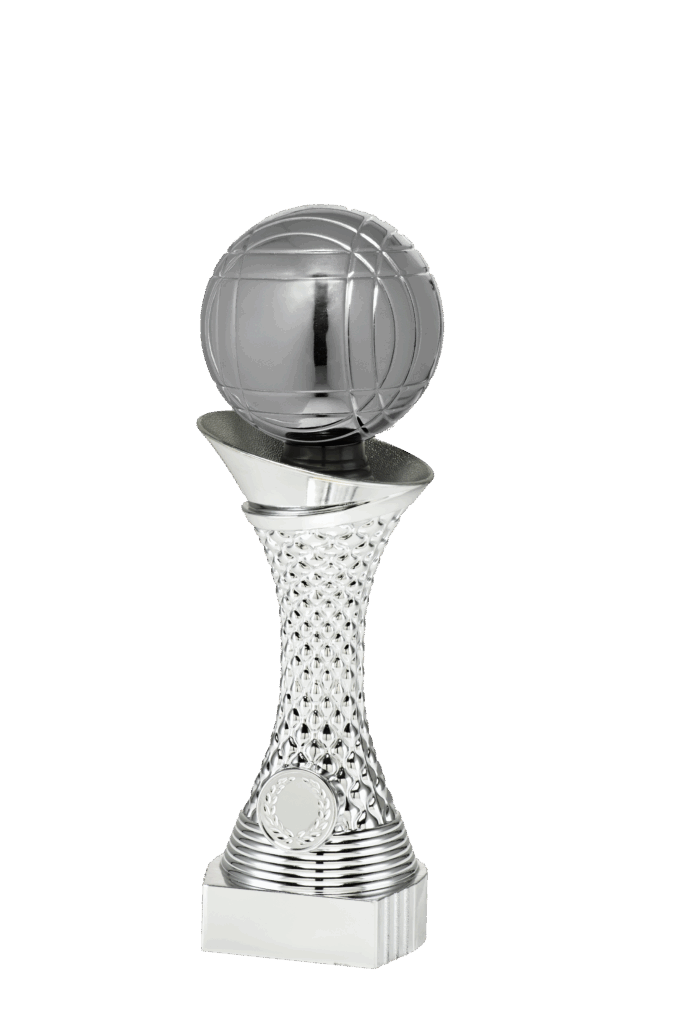 Zilveren basketbal kampioen beeld